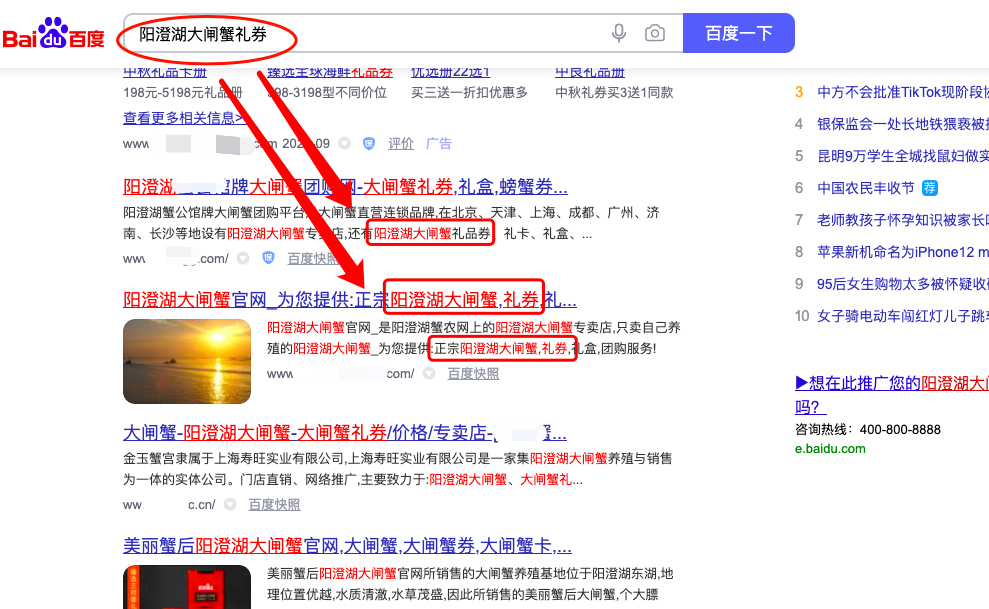 模板建站SEO优化